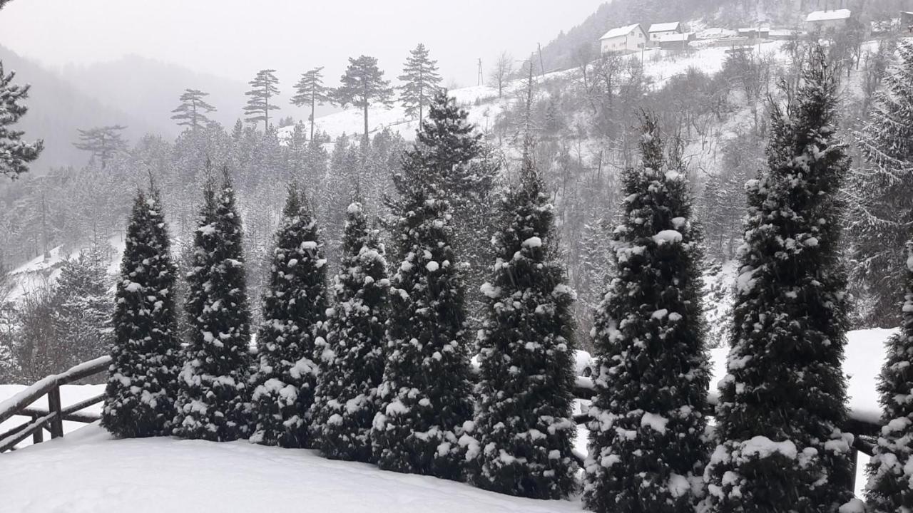 Apartman Suncana Dolina, Zaovine 外观 照片